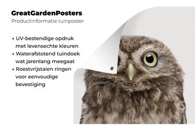 Gartenposter - 200x200 cm - Eule - Porträt - Augen - Vogel - Kinderzimmer - Babyzimme