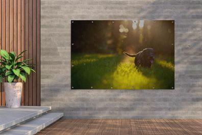 Gartenposter - 180x120 cm - Schöne Sonnenstrahlen über einem schwarzen Welpen