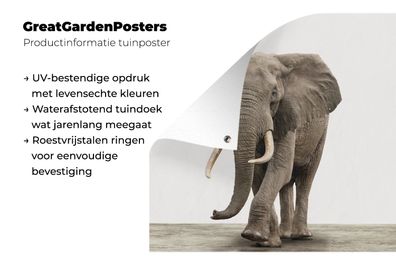 Gartenposter - 200x200 cm - Elefant - Wanddekoration - Wohnzimmer - Schlafzimmer