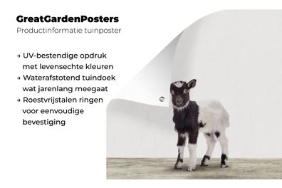 Gartenposter - 200x200 cm - Baby Goat - Kinderzimmer - Zimmer für Jungen - Zimmer für