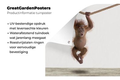 Gartenposter - 200x200 cm - Babyzimmer - Hängendes Affenbaby - Baby - Kinderzimmer -