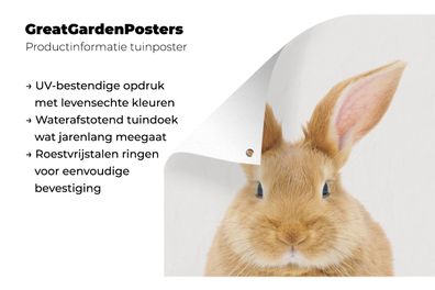 Gartenposter - 200x200 cm - Babyzimmer - Kaninchen - Kinderzimmer (Gr. 200x200 cm)