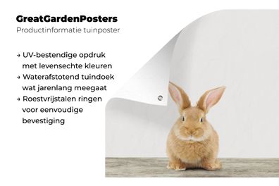 Gartenposter - 100x100 cm - Babyzimmer - Kaninchen - Kinderzimmer - Mädchenzimmer