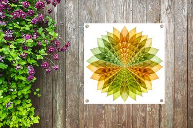 Gartenposter - 100x100 cm - Mandala mit Blattformen (Gr. 100x100 cm)