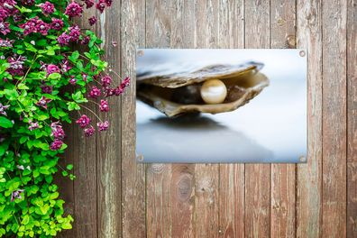 Gartenposter - 60x40 cm - Perle in einer Austernschale (Gr. 60x40 cm)