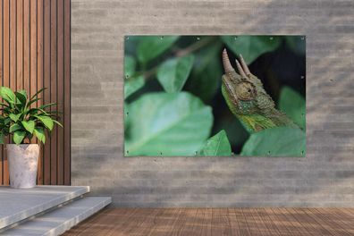 Gartenposter - 180x120 cm - Verstecktes Chamäleon zwischen den Blättern