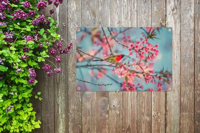 Gartenposter - 90x60 cm - Vogel - Sakura - Farben (Gr. 90x60 cm)