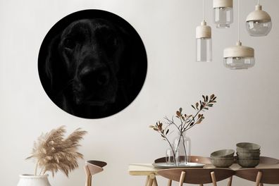 Runde Wandbilder - 140x140 cm - Hund - Schwarz - Labrador (Gr. 140x140 cm)