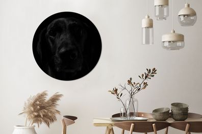 Runde Wandbilder - 90x90 cm - Hund - Schwarz - Labrador (Gr. 90x90 cm)