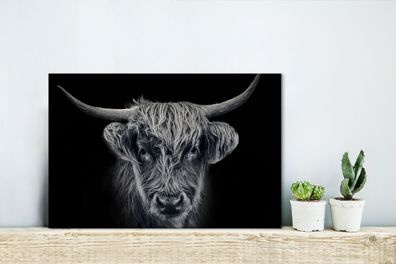 Leinwandbilder - 30x20 cm - Schottischer Highlander - Schwarz - Haar (Gr. 30x20 cm)