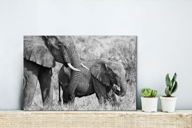 Leinwandbilder - 30x20 cm - Baby-Elefant und ihre Mutter in Kenia in schwarz und weiß