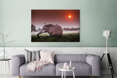 Leinwandbilder - 140x90 cm - Roter Sonnenuntergang über einem Elefanten im Gras