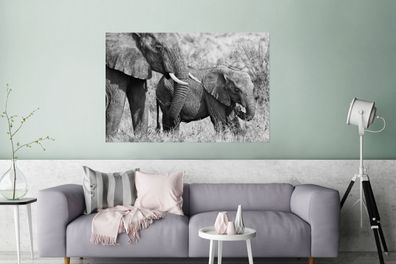 Glasbilder - 120x80 cm - Baby-Elefant und ihre Mutter in Kenia in schwarz und weiß