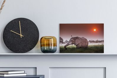 Leinwandbilder - 30x20 cm - Roter Sonnenuntergang über einem Elefanten im Gras