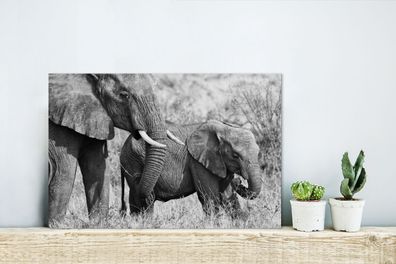 Glasbilder - 30x20 cm - Baby-Elefant und ihre Mutter in Kenia in schwarz und weiß
