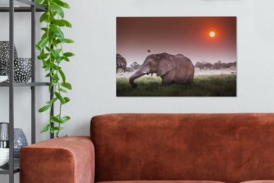 Leinwandbilder - 90x60 cm - Roter Sonnenuntergang über einem Elefanten im Gras