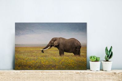 Glasbilder - 30x20 cm - Weidender Elefant in der Natur Afrikas (Gr. 30x20 cm)