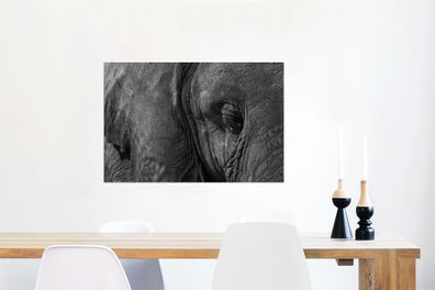 Glasbilder - 60x40 cm - Schwarz-Weiß-Nahaufnahme eines Elefanten (Gr. 60x40 cm)