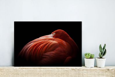 Glasbilder - 30x20 cm - Flamingo - Federn - Rosa (Gr. 30x20 cm)