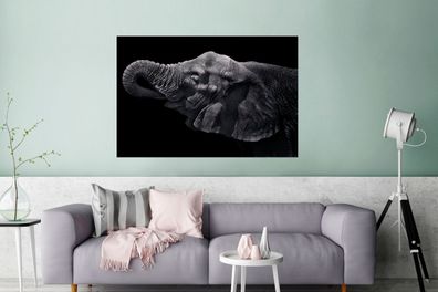 Glasbilder - 120x80 cm - Elefant mit Rüssel im Maul in Schwarz und Weiß