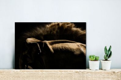 Leinwandbilder - 30x20 cm - Elefant schüttelt Schlamm auf einem schwarzen Hintergrund