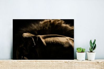 Glasbilder - 30x20 cm - Elefant schüttelt Schlamm auf einem schwarzen Hintergrund ab