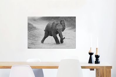 Leinwandbilder - 60x40 cm - Baby-Elefant zu Fuß in den Sand in schwarz und weiß