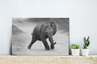 Leinwandbilder - 30x20 cm - Baby-Elefant zu Fuß in den Sand in schwarz und weiß