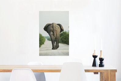 Glasbilder - 40x60 cm - Rücken eines Elefanten (Gr. 40x60 cm)