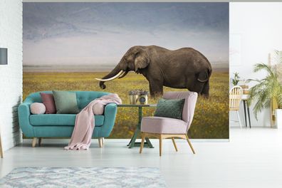 Fototapete - 330x220 cm - Weidender Elefant in der Natur Afrikas (Gr. 330x220 cm)