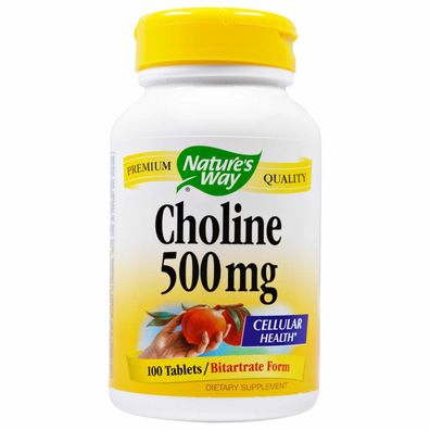 Nature's Way, Choline, 500 mg, 100 Tabletten