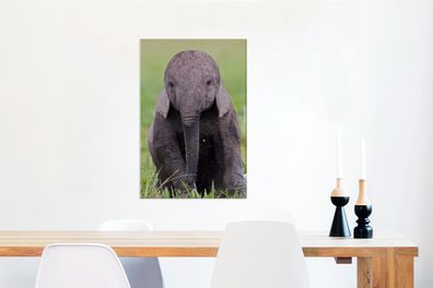 Leinwandbilder - 60x90 cm - Porträt eines Elefantenbabys (Gr. 60x90 cm)