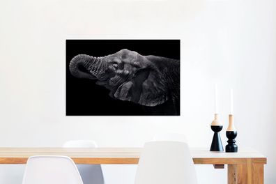 Leinwandbilder - 60x40 cm - Elefant mit Rüssel im Maul in Schwarz und Weiß