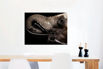 Glasbilder - 80x60 cm - Porträt eines Elefanten mit seinem Rüssel im Maul
