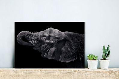 Leinwandbilder - 30x20 cm - Elefant mit Rüssel im Maul in Schwarz und Weiß