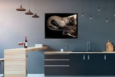 Poster - 80x60 cm - Porträt eines Elefanten mit seinem Rüssel im Maul (Gr. 80x60 cm)