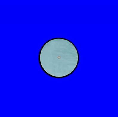 LP-Innenhülle Blau Gefüttert (25 Stück) - DA-Zubehör - (Vinyl / Zubehör)