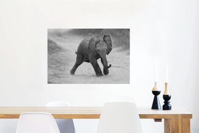 Glasbilder - 60x40 cm - Baby-Elefant zu Fuß in den Sand in schwarz und weiß