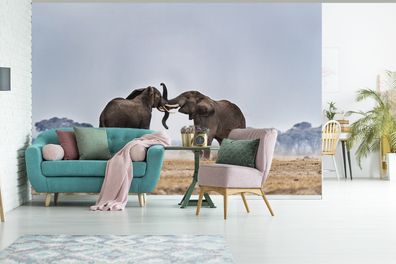 Fototapete - 420x280 cm - Spielende Elefanten in Kenia (Gr. 420x280 cm)