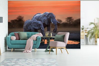 Fototapete - 390x260 cm - Zwei Elefanten bei Sonnenuntergang (Gr. 390x260 cm)