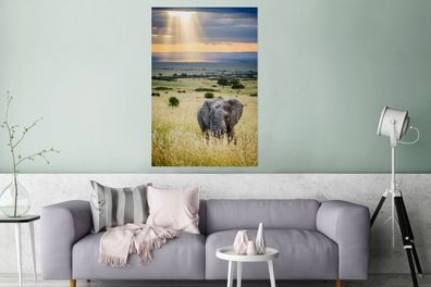 Glasbilder - 80x120 cm - Sonnenstrahlen über einem Elefanten in der Savanne