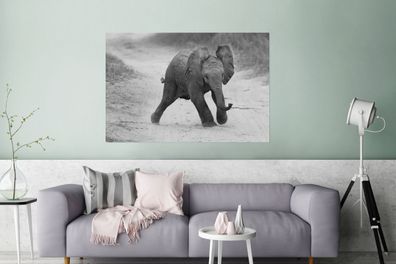 Glasbilder - 120x80 cm - Baby-Elefant zu Fuß in den Sand in schwarz und weiß