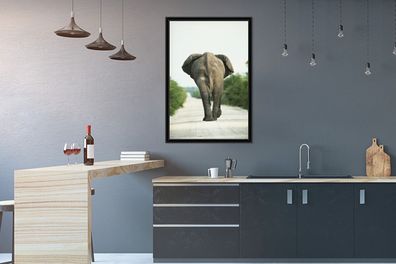 Poster - 60x90 cm - Rücken eines Elefanten (Gr. 60x90 cm)