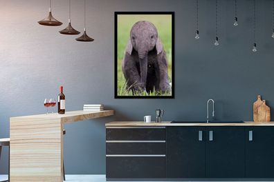 Poster - 60x90 cm - Porträt eines Elefantenbabys (Gr. 60x90 cm)