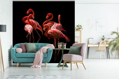 Fototapete - 300x300 cm - Flamingo - Rosa - Schwarz (Gr. 300x300 cm)