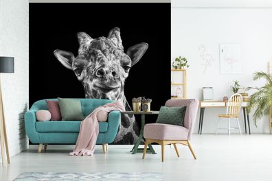 Fototapete - 260x260 cm - Giraffe - Tier - Schwarz - Weiß (Gr. 260x260 cm)