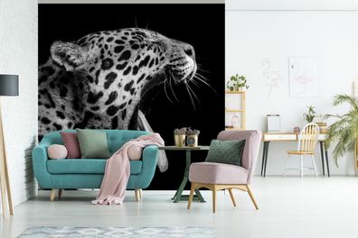 Fototapete - 220x220 cm - Jaguar - Tier - Schwarz - Weiß (Gr. 220x220 cm)