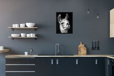 Poster - 30x40 cm - Alpaka auf schwarzem Hintergrund (Gr. 30x40 cm)