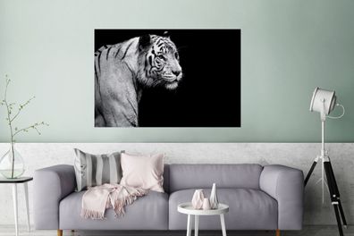 Glasbilder - 120x80 cm - Studio Schuss weißen Tiger auf schwarzem Hintergrund
