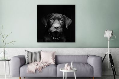 Leinwandbilder - 90x90 cm - Nahaufnahme Labrador Welpe gegen schwarzen Hintergrund in